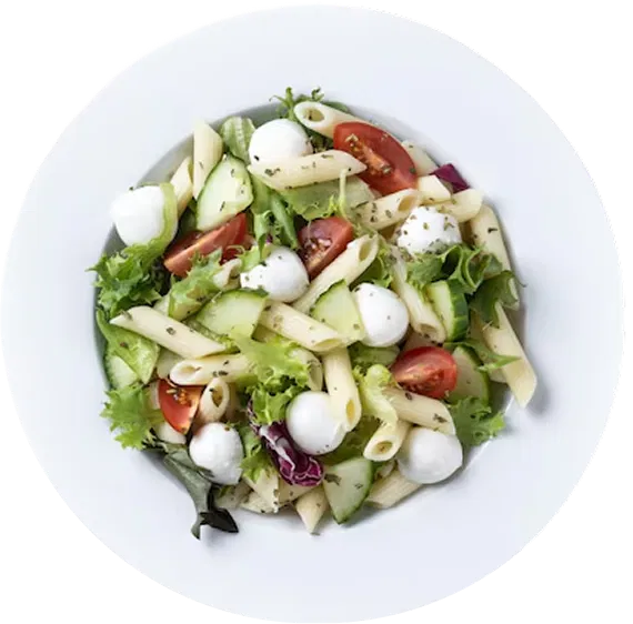 plato-1